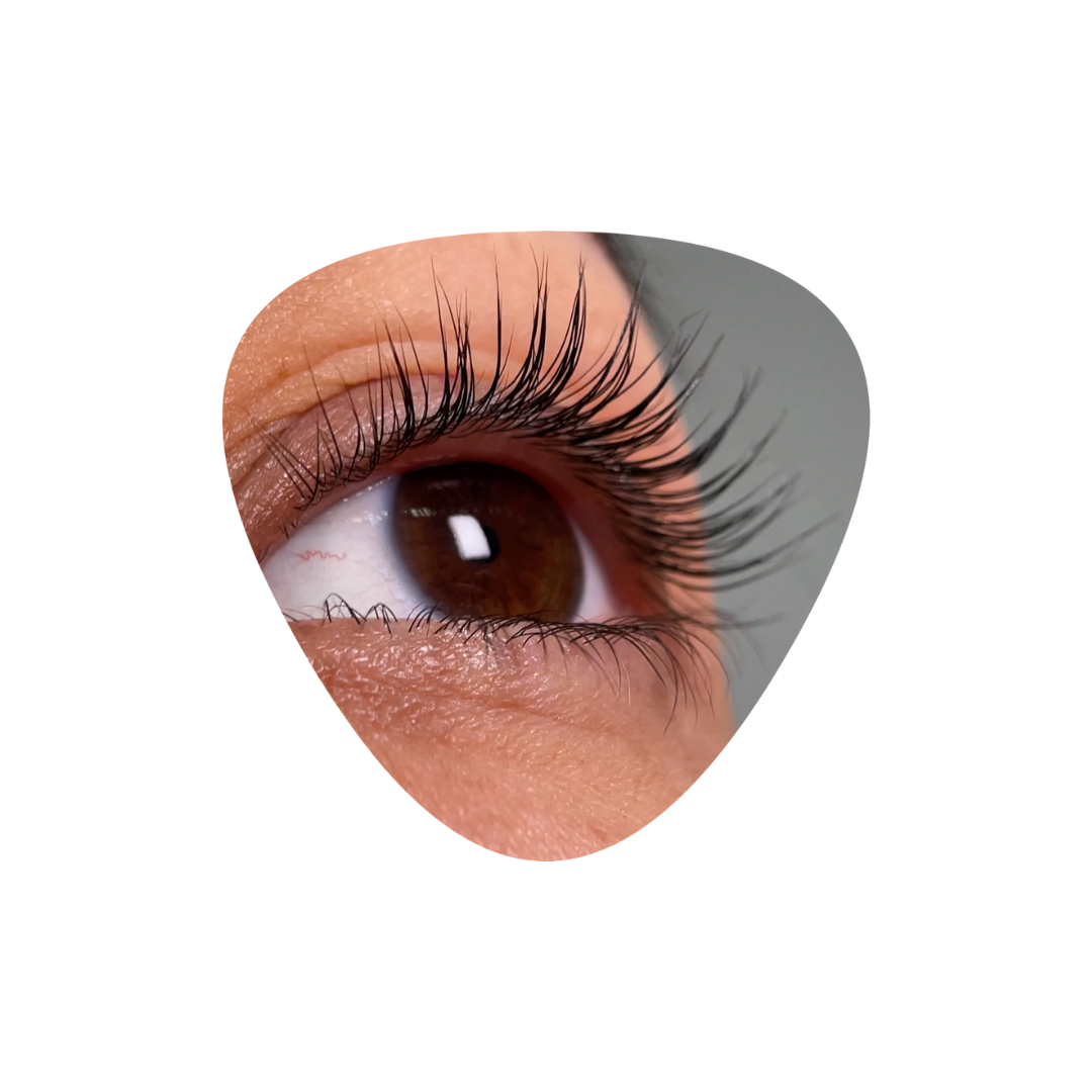 InLei® - FORMA + FORMA UP NEW Universal Eyelash Shields (4 pairs in a pack)